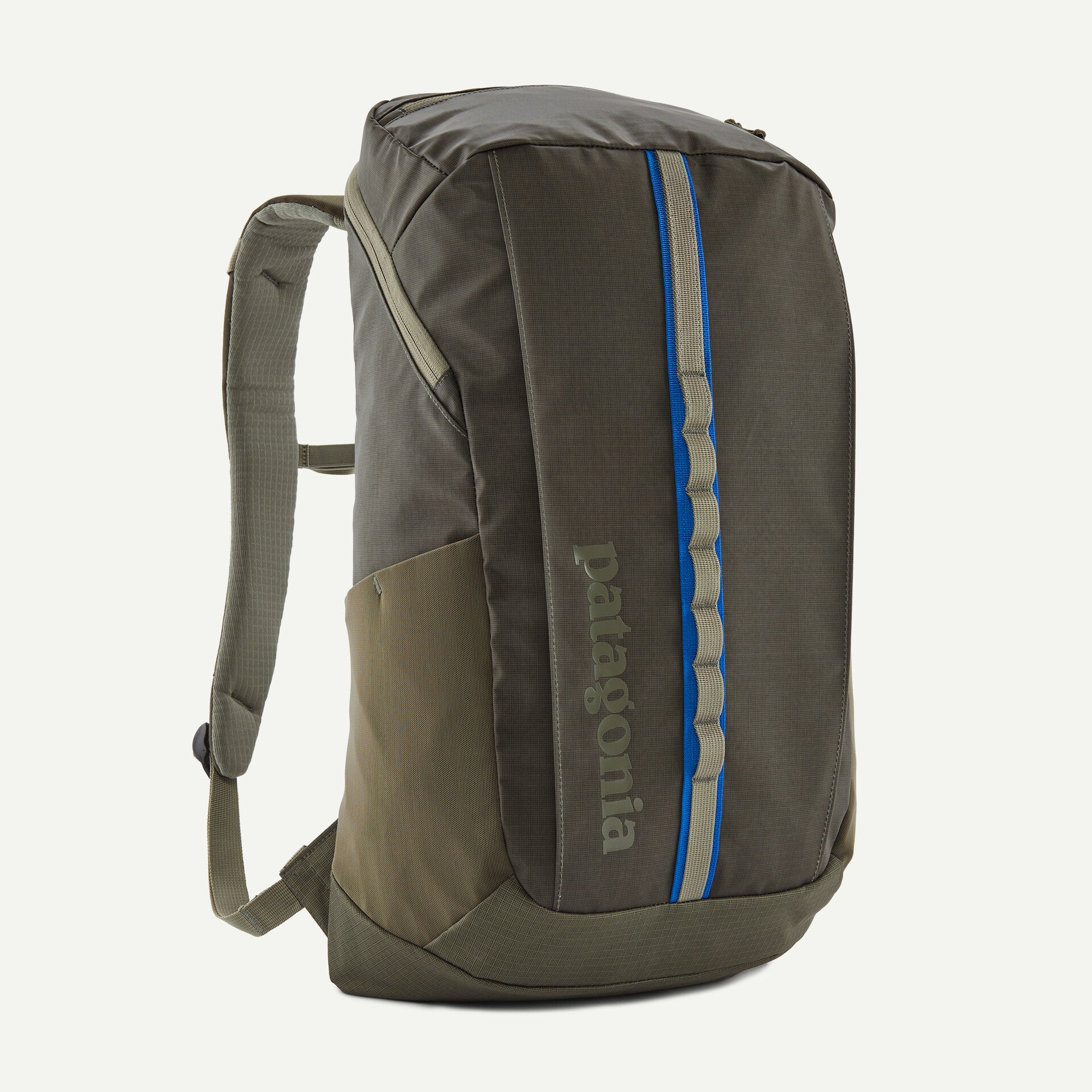 Patagonia Black Hole 25L Pack