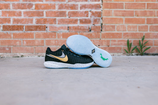 Nike "LeBron Low XX - Black / Metallic Gold"