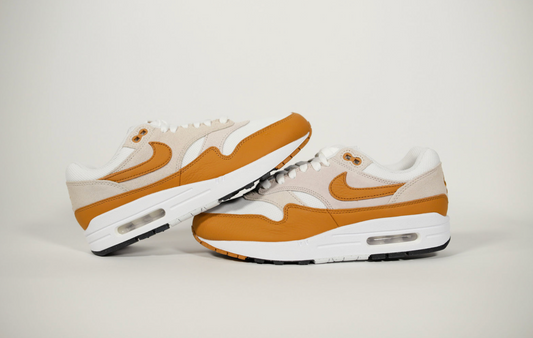 Nike Air Max 1 'Bronze'