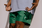 Manor  "Saguaro Summer Nylon Short" M - Green