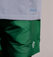 Manor  "Saguaro Summer Nylon Short" M - Green