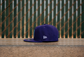 Manor x New Era "M"  59FIFTY Fitted - Purple / Teal