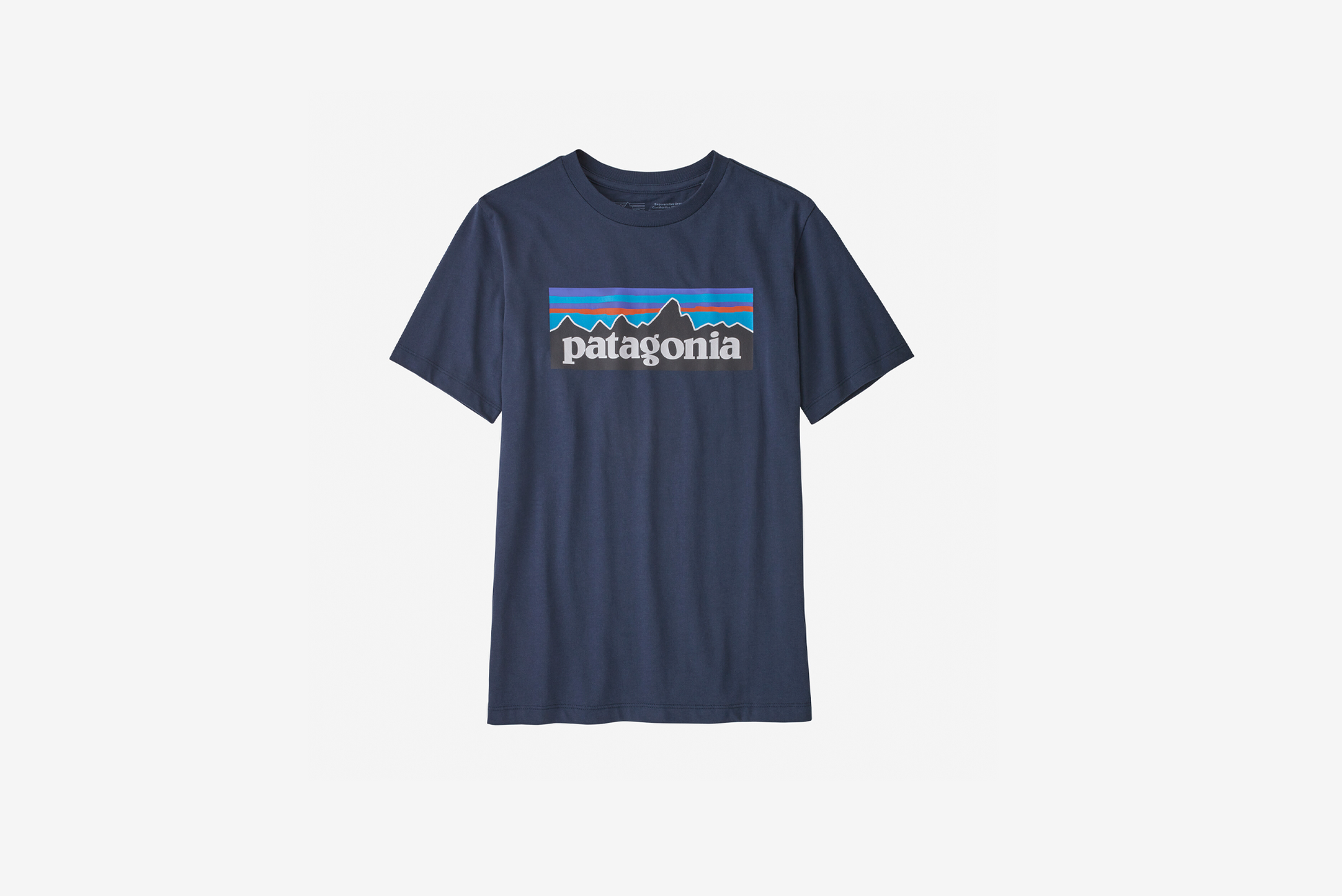 Patagonia navy best sale shirt