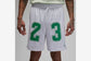 Jordan "23 Graphic Mesh Shorts" M - White / Green