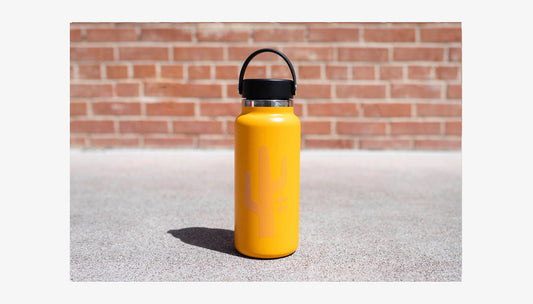 Hydro Flask "Shoes on Cactus" 32oz - Starfish